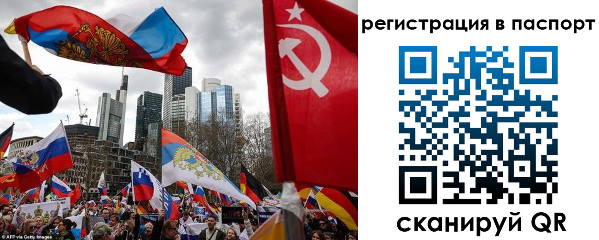 временная регистрация поиск в Камчатском крае